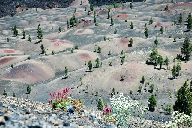 painted dunes, lassen national park, lava rock